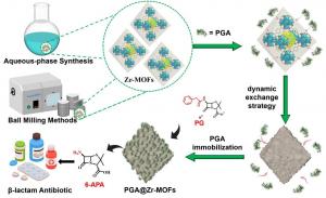 ILLUSTRATION OF PGA IMMOBILIZATION BY Zr-MOFs VIA DYNAMIC EXCHANGE STRATEGY.
