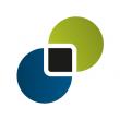 StoneShot Releases 2025 Professional Investor Marketing Research