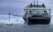 Sea Shepherd Returns to Antarctica to Expose the Growing Threat of Krill Fishing