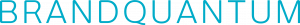 BrandQuantum Logo