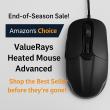 ValueRays® End-of-Season Amazon Sale