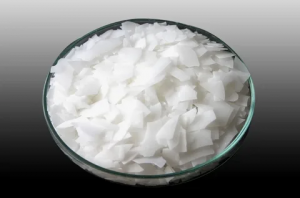 Glycerol Monostearate Market
