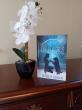 Life Flashes: A Memoir by Merrie H. Reagan-Five-Stars Book Review by Readers' Favorite Worldwide Literary Competition