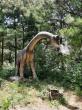 Sweet Valley Ranch’s Dinosaur World Roars Back for Its 5th Season with the Fossils & Farm Friends Festival