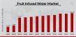 Fruit Infused Water Market Forecasted to Reach USD 20.09 Billion by 2034, Driven by Health-Conscious Consumer Trends