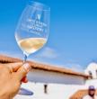 Santa Barbara Culinary Experience Grand Wine Tasting