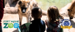 Fort Wayne Zoo is Now Recognized as a Certified Autism Center™