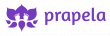 Prapela, Inc. Granted FDA De Novo for Breakthrough Therapy Helping the Most Vulnerable Victims of our Opioid Epidemic