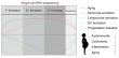 A dynamic peripheral immune landscape during human pregnancy