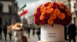 Imaginary Worlds Redefines Ramo Buchón Culture with Mexico City Launch