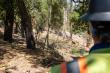 Napa Firewise Expands Wildfire Protection Across Napa County Amid Federal Funding Shifts