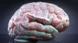 Post-TBI Symptom Management: Addressing Headaches, Mood Changes, and Mental Fatigue