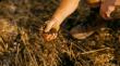 Agreena launches transparency initiative to strengthen trust in soil carbon credit market