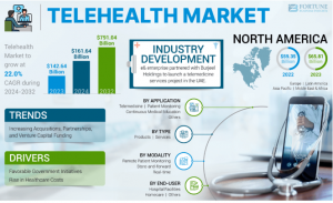 Telehealth Market