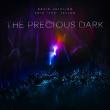 David Helpling and Eric 'the' Taylor Beckon Music Fans to Experience the Sonic Realms of The Precious Dark