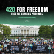 4/20 For Freedom: Last Prisoner Project and Ben & Jerry’s Call on Governors to Grant Cannabis Clemency 