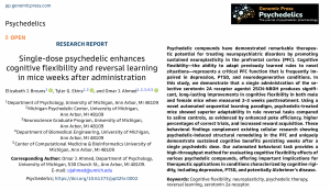 Single-dose psychedelic enhances cognitive flexibility and reversal learning in mice weeks after administration