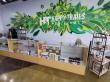 Happy Trails Medicinals Announces New Appleton Flagship Location, Ushering in a Bold New Chapter in Plant-Based Healing