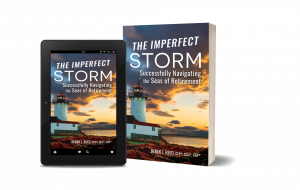 Front cover of a book entitled "The Imperfect Storm" by Derek J. Reed