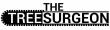 The Tree Surgeon Enhances Residential Safety Through Expert Tree and Bush Trimming Services