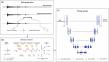 Elucidating Earth’s Interior Through Advanced Teleseismic Phase Picking