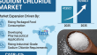 Beyond the Table: How Sodium Chloride is Powering Emerging Green Industrial Processes | Future Market Insights