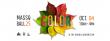 The MassQ Ball Is Back: Communities of Color Reunite to Celebrate Nature and Arts