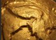 The Oneness Gallery & Marigpa Extends Heartfelt Gratitude for the Golden Success of 'Marigpa's Golden Journey'