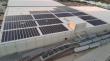 Alectric Renewables Celebrates Over a Decade in Business