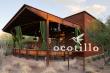 Ocotillo Restaurant in Phoenix launches Arizona-inspired spring menu