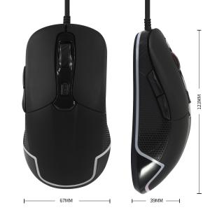 Amazon's Choice ValueRays Heated Mouse Advanced
