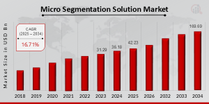 Micro_Segmentation_Solution_Market_Size