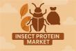 Insect Protein Market to Hit USD 4.08 Billion by 2035 Amid Rising Demand for Sustainable Nutrition | FMI