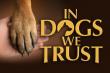 'In Dogs We Trust': A Heartwarming TV Special Celebrates the Life Story of Military Working Dog Rossi M062