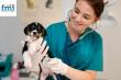 Global Veterinary Rehabilitation Services Market to Surpass USD 2.1 Billion by 2033, exhibiting a CAGR of 9.06% | FMI