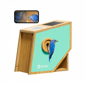 Birdfy Nest Polygon