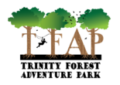 In a time when digital distractions dominate daily life, Trinity Forest Adventure Park is playing a pivotal role in reconnecting communities with nature Trinity Forest Adventure Park