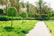 Expert Landscaping Services Now Transforming Outdoor Spaces in Northern Utah