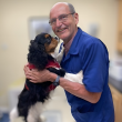 Survey Reveals What Pet Owners in Ireland Wish They Knew Before Getting an Animal Companion