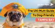 Jet Set Pets Launches Tampa Bay Dog-Friendly Events Hub, Weekly Wet Noseletter, and Social Media Community