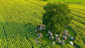 2021 Event In The Middle of the Sunflower Field