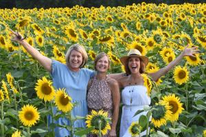 Sunflower Photo Opp