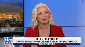 VetComm CEO Kate Monroe on Fox News
