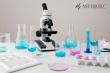 Asteroid Energy Announces Groundbreaking Rare Earth Metals Research and Global Expansion of Research Teams