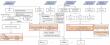 VPM 3.0: a leap forward in global GPP estimation