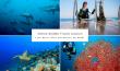 From Devastation to Determination: Global Travel Auction Offers Dream Trips to Save the Oceans