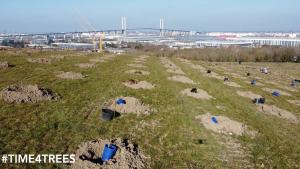 Plant a Tree Scheme in Action