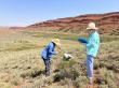 The Nature Conservancy Team Wins 2025 Camp Monaco Prize for Invasive Grass Prevention in Greater Yellowstone
