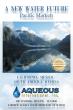 Ric Davidge Unveils Groundbreaking Vision to Solve Water Scarcity Using Alaska’s Untapped Glacier Reserves
