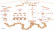 Unlocking the Future of Endocrine Disease Treatment: The Role of Epigenetics in Nuclear Receptor Regulation